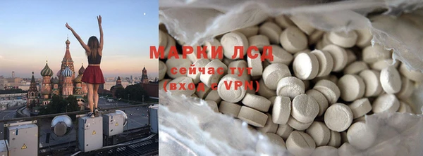 сатива Балахна